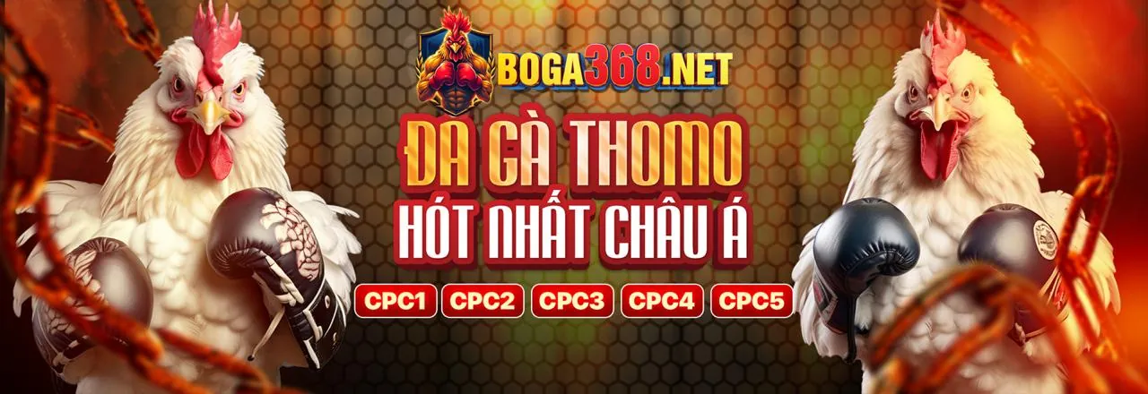 Sân vận động với ánh đèn rực rỡ và người hâm mộ cuồng nhiệt, thể hiện sự sôi động của cá cược thể thao fbet8